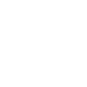 White icon of stacked coins used for precious metals lending.