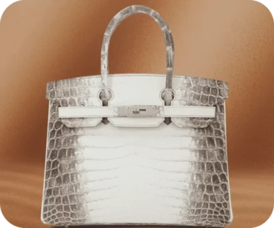 Hermès Himalayan Birkin handbag—one of the most valuable luxury bags available for asset loans.