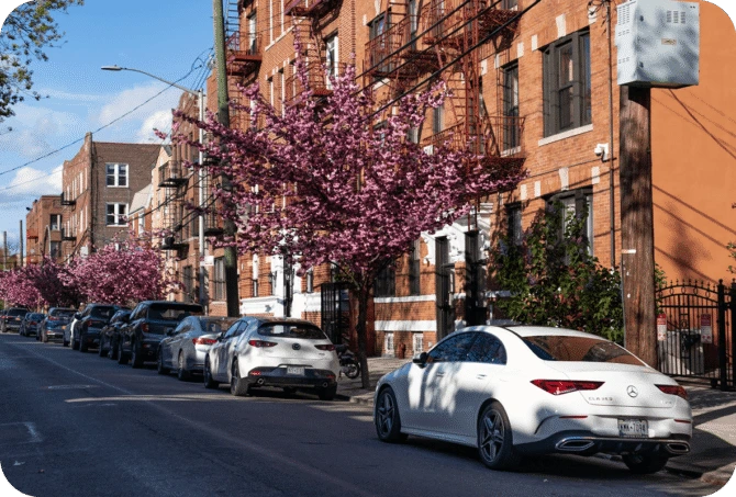 Street in Queens, New York, lined with blooming cherry blossom trees and parked cars beside red-brick apartment buildings