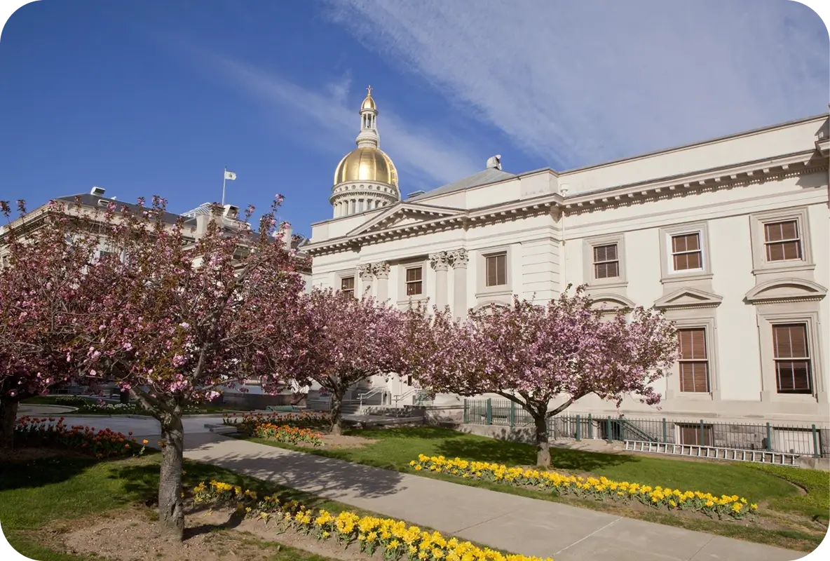 New Jersey State House with cherry blossoms and tulips blooming in the foreground on a sunny spring day