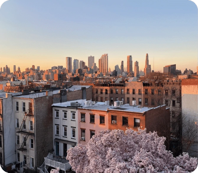 View of Brooklyn townhouses with blooming pink cherry blossoms in the foreground and a city skyline at sunset