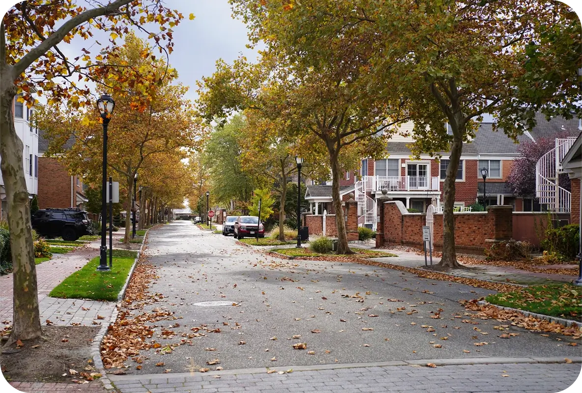 Peaceful residential street lined with trees in autumn, with cars parked along the curb